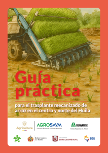 Cubierta de la "Guía práctia para el trasplante de arroz en el centro y norte del Huila"en el centro y norte del Huila