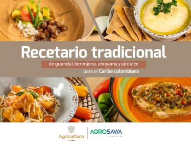 Cubierta del libro titulado "Recetario tradicional de guandul, berenjena, ahuyama y ají dulce para el Caribe colombiano"