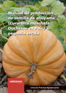Cubierta del manual titulado "Manual de producción de semilla de ahuyama (Cucurbita moschata Duchesne ex Poir.) a pequeña escala"