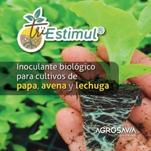 Cubierta de la cartilla titulada "TriEstimul®: Inoculante biológico para cultivos de papa, avena y lechuga"
